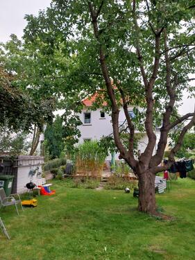 Foto - Einfamilienhaus in Plön