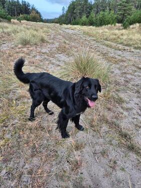 Foto - Kleines Haus oder Erdgeschosswohnung