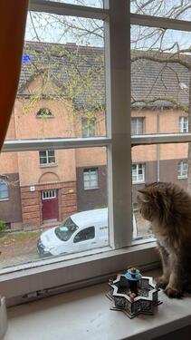 Foto - 1 Zimmer Erdgeschoßwohnung in Berlin