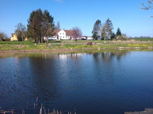 Foto - Einzigartige Immobilie mit vielen Möglichkeiten auf Nordlangeland