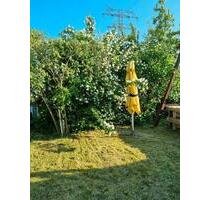 Garten in Rostock Westfriedhof abzugeben