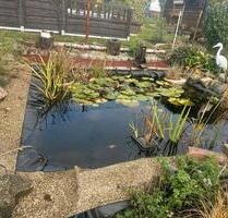 kleingarten in molbitz. - 500,00&nbsp;EUR Kaltmiete, ca.&nbsp; 0,00&nbsp;m&sup2; in Rositz (PLZ: 04617)