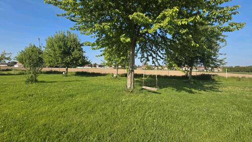 Foto - Stellplatz Urlaub auf der Obstwiese mit Reisemobil o. Wohnwagen