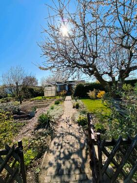 Foto - Gepflegter Kleingarten in Top-Lage (Nähe CJDSternwarte)