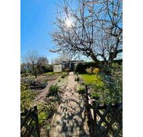 Gepflegter Kleingarten in Top-Lage (Nähe CJDSternwarte) - Rostock Hansaviertel