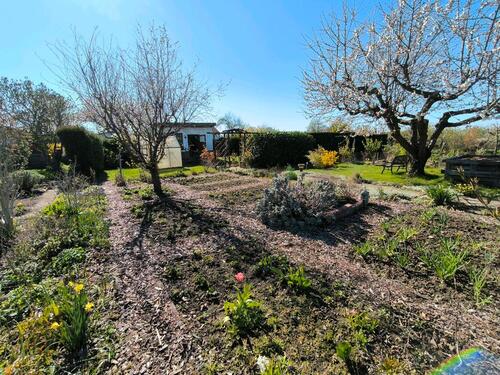 Foto - Grundst&uuml;ck zur Miete in Rostock