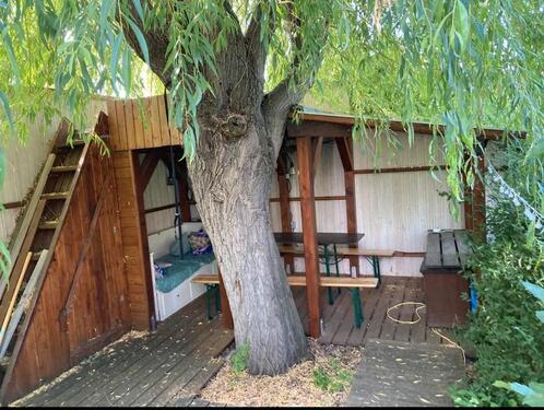 Foto - 3 Zimmer Einfamilienhaus zum Kaufen in Magdeburg