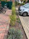 Foto - Stellplatz in Soest - 50,00&nbsp;EUR Miete,