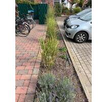Stellplatz in Soest - 50,00&nbsp;EUR Miete, in Arnsberg (PLZ: 59823) Oeventrop