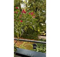 85m²+Balkon - 279.000,00 EUR Kaufpreis, in Dortmund (PLZ: 44141) Gartenstadt