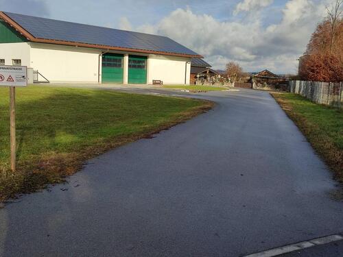 Foto - andere in Moos