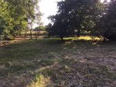 Foto - Garten,Freizeitgrundstück,Pachtgarten,evtl.Tierhaltung zur Miete
