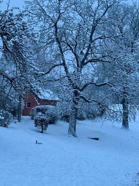 Foto - Wochenendhaus Ferienhaus Tinyhouse Selbstversorger Nutzgarten