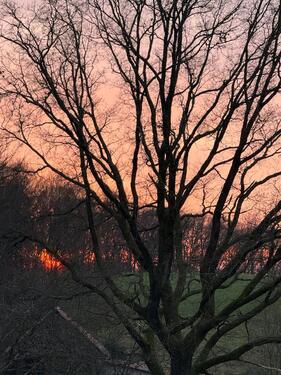 Foto - andere zur Miete in Bergisch Gladbach