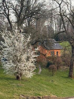 Foto - andere in Bergisch Gladbach zur Miete