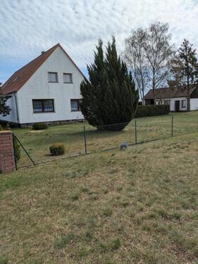 Foto - 4 Zimmer Einfamilienhaus zum Kaufen in Pasewalk