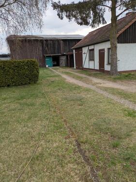 Foto - 4 Zimmer Einfamilienhaus in Pasewalk