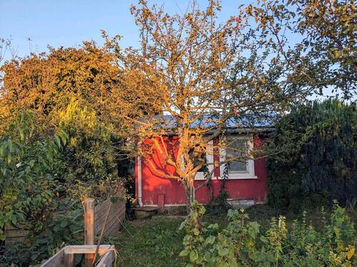 Foto - Kleingarten in der Gartensparte Erholung