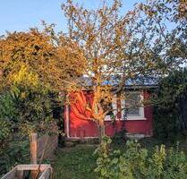 Kleingarten in der Gartensparte Erholung - Greifswald