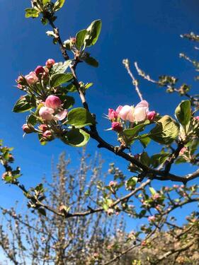 Foto - Grundst&uuml;ck in Greifswald