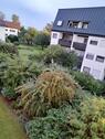 Foto - 1-Zimmer-Appartement in ruhiger Lage außerhalb von Bad Füssing