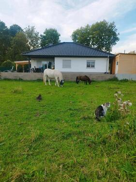 Foto - Haus mit PferdehaltungTierhaltung