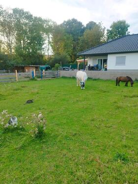 Foto - Einfamilienhaus zum Kaufen in Salzatal