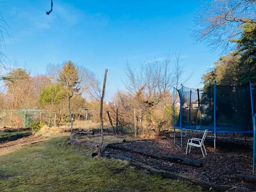 Foto - Grundst&uuml;ck zur Miete in Cottbus