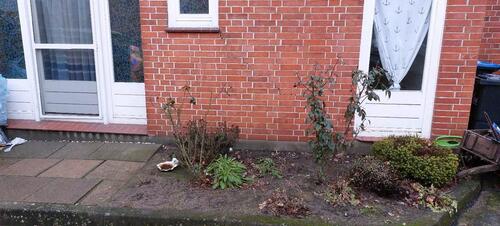 Foto - 2 Zimmer Erdgeschoßwohnung in Lilienthal