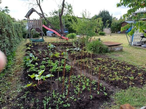 Foto - Kleingarten in Klein Ströbitz nahe dem Badesee, Familien geeignet