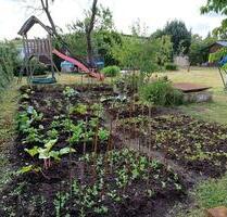 Kleingarten in Klein Ströbitz nahe dem Badesee, Familien geeignet - Cottbus