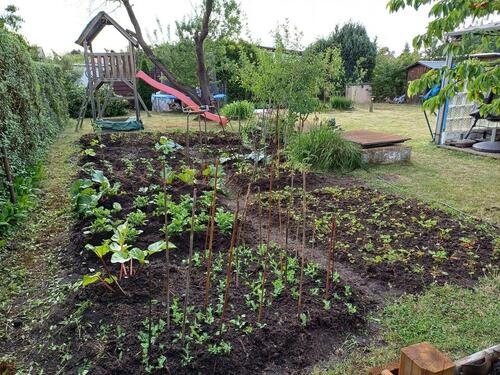 Foto - Grundst&uuml;ck zur Miete in Cottbus