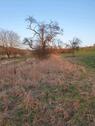 Foto - Grundstück am Ortsrand von Neuenbürg
