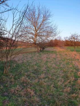 Foto - Grundst&uuml;ck in Kraichtal