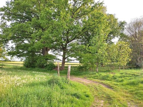 Foto - andere in Pritzwalk