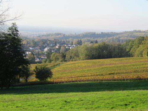Foto - andere in Kippenheim