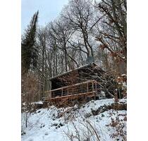 Für Urlauber: HarzZauber in Bad Lauterberg! - Bad Lauterberg im Harz