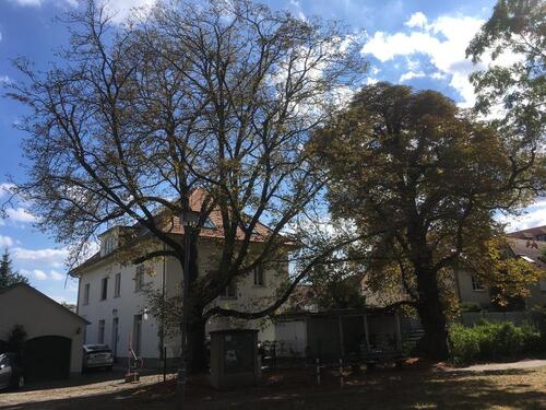 Foto - 1.5 Zimmer Etagenwohnung zur Miete in Leipzig