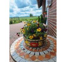 Singlewohnung in ländlicher Lage - Wittmund