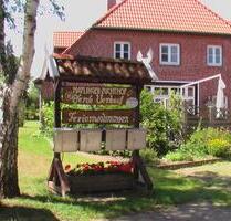 1-Zi. -Appartment voll ausgestattet f. Pendler o.Trennungsopfer, - Toppenstedt