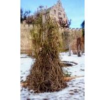 Kleiner Pachtgarten mit Potential am Rande Altensteiner Park - Bad Liebenstein