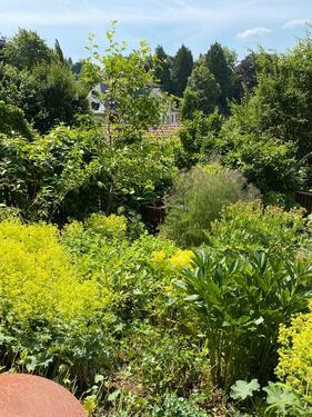 Foto - Grundst&uuml;ck zur Miete in Bad Liebenstein