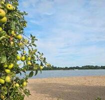 Grundstück zu verkaufen - 85.000,00&nbsp;EUR Kaufpreis, ca.&nbsp; 563,00&nbsp;m&sup2; in Stuttgart (PLZ: 70173)