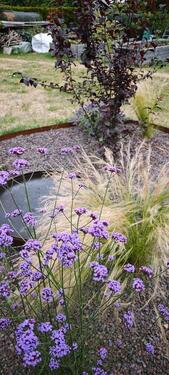 Foto - Grundst&uuml;ck zur Miete in Mühlhausen (Thüringen)