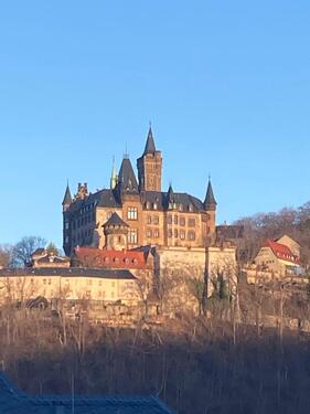 Foto - 2-Raum-Wohnung mit Schloßblick - 450,00&nbsp;EUR Kaltmiete,