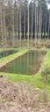 Foto - 4 Teiche Weiher Fischzucht - 840,00&nbsp;EUR Kaltmiete, ca.&nbsp; 0,00&nbsp;m&sup2;