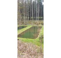 4 Teiche Weiher Fischzucht - 840,00&nbsp;EUR Kaltmiete, ca.&nbsp; 0,00&nbsp;m&sup2; in Holzhausen an der Haide (PLZ: 56357)