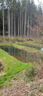 Foto - Grundst&uuml;ck in Holzhausen an der Haide