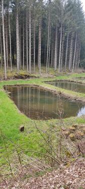 Foto - Grundst&uuml;ck in Holzhausen an der Haide zur Miete