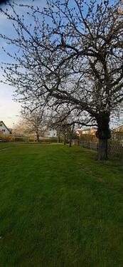 Foto - 6 Zimmer Einfamilienhaus zur Miete in Steinheim